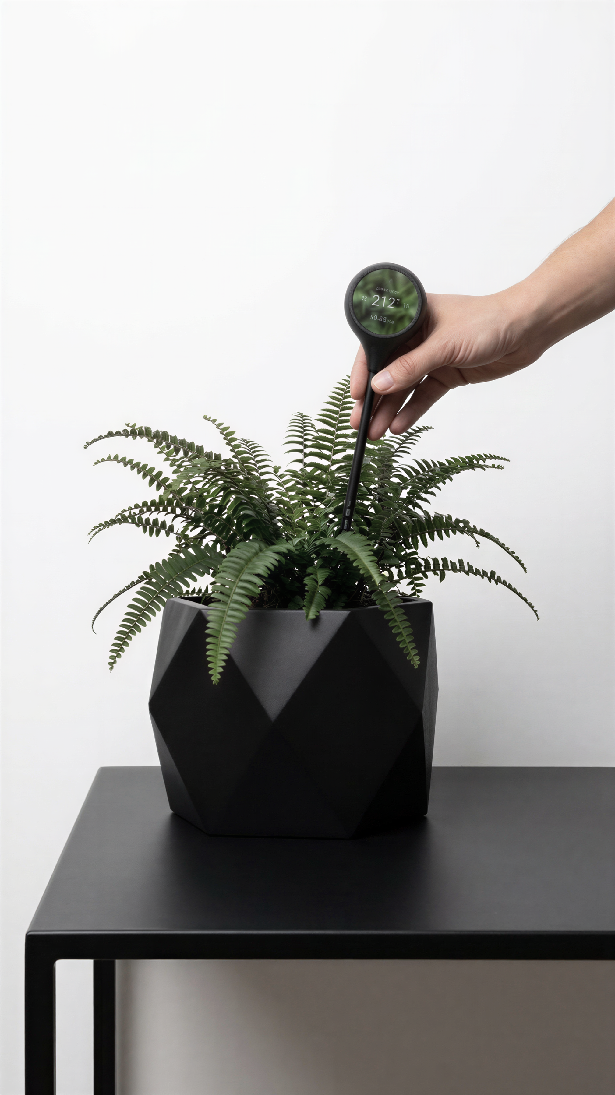 Siseon — care routine