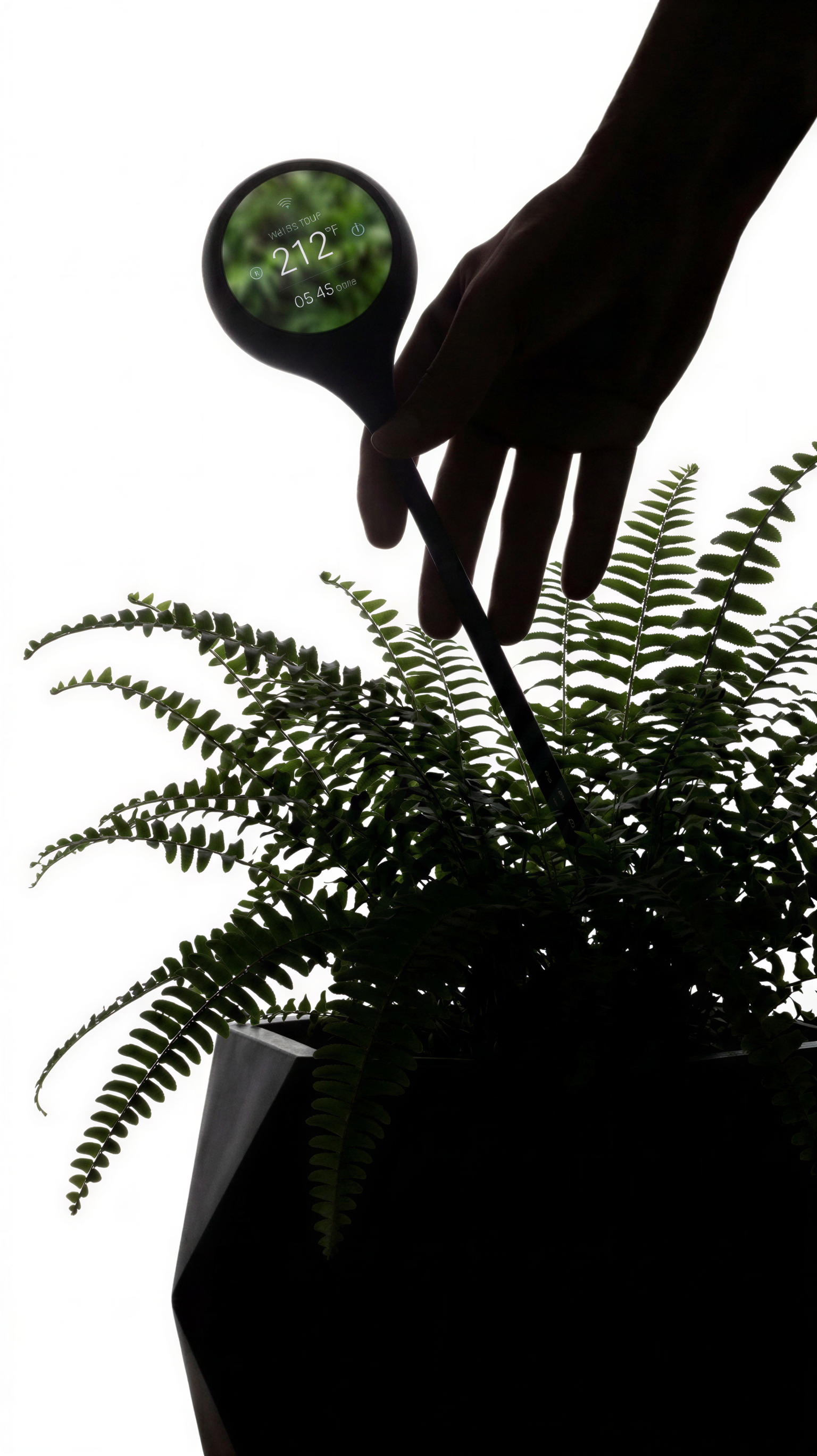 Siseon — final scene